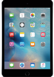 ipadmini4img